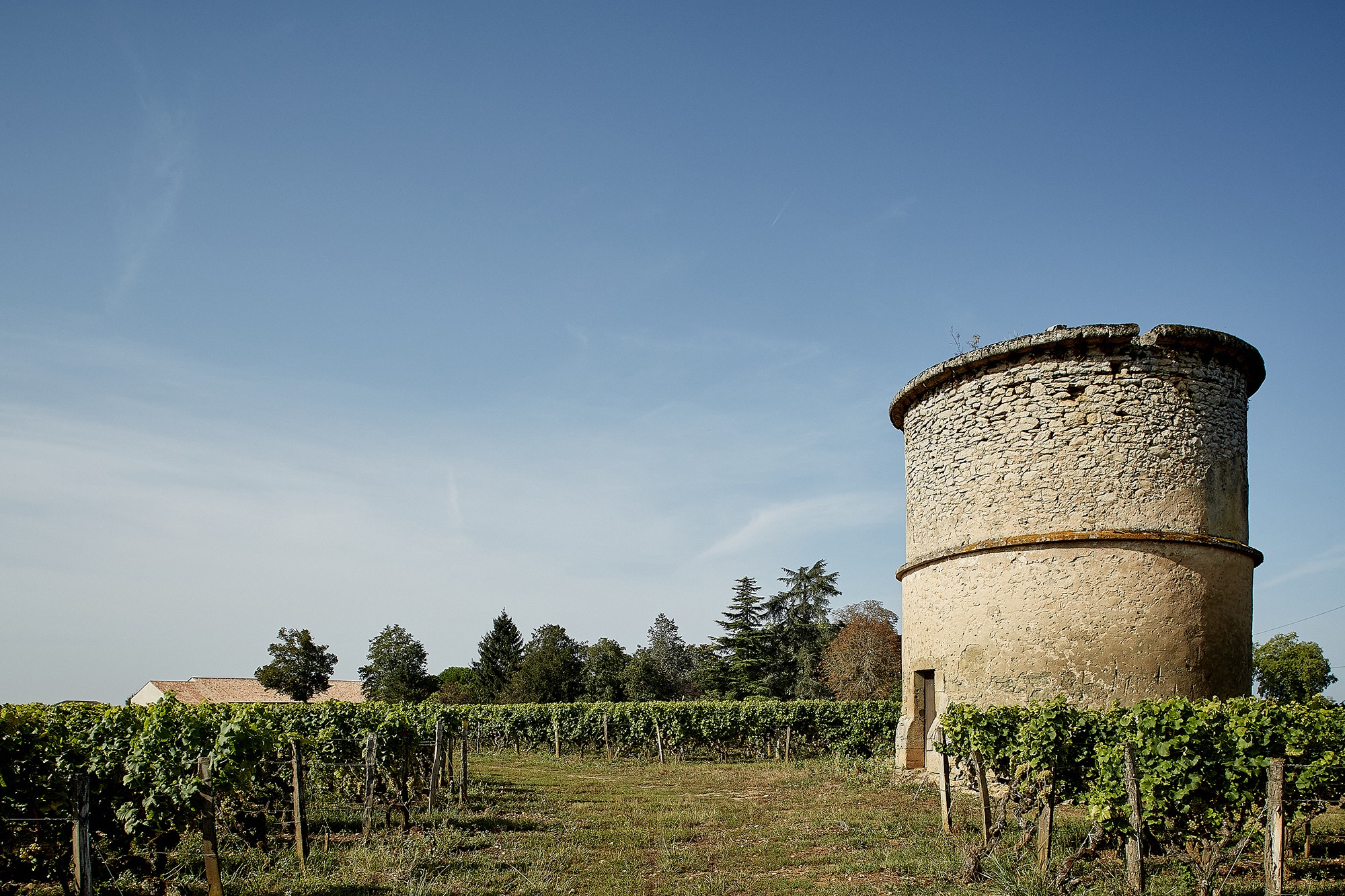 シャトー・クーテ 2016 ソーテルヌ・バルサック格付け 第1級｜ワイン